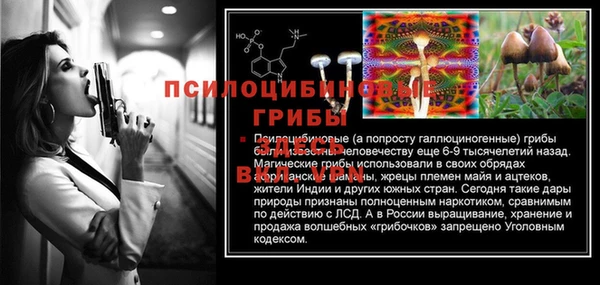 гашик Алзамай