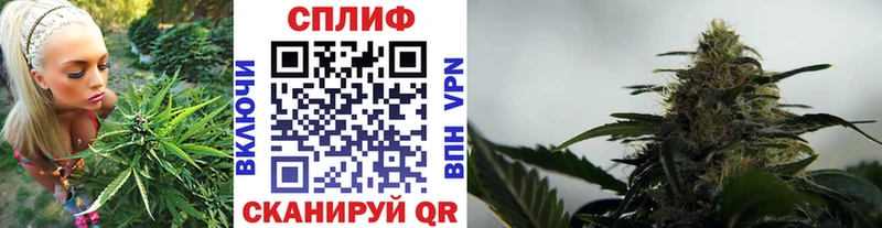 Шишки марихуана THC 21%  Евпатория 